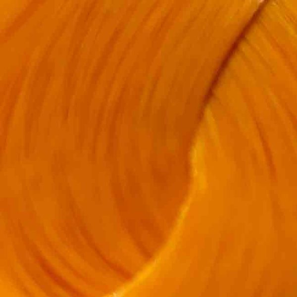 Directions Apricot – Bild 2