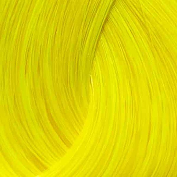 Directions Bright Daffodil – Bild 2