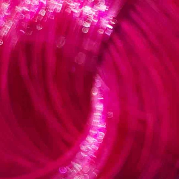 Directions Cerise – Bild 2