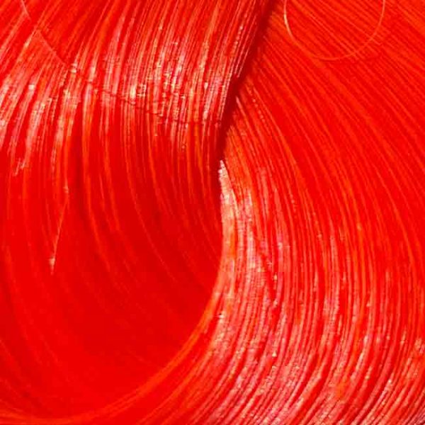 Directions Fluorescent Orange – Bild 3