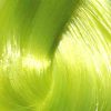 Directions Fluorescent Yellow – Bild 2
