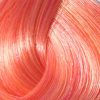Directions Peache – Bild 2