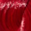 Directions Vermillion Red – Bild 3